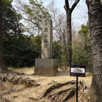滝山城跡到着。
しばしへたり込む。
思ったより脚痛い....