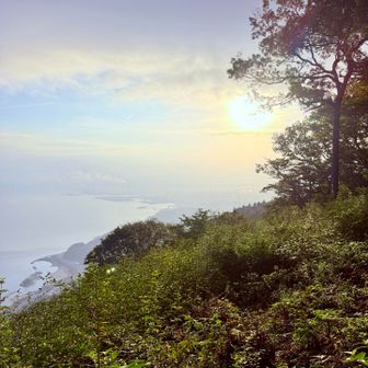 　　　日が昇って辺りは更に輝く✨