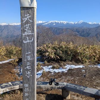 田部井淳子さんの字
映画、観に行かないと。