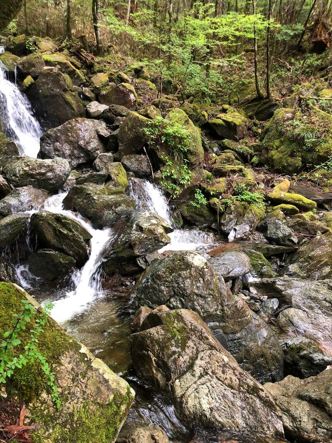 白髪山登山口-白髪山 周回コースの写真