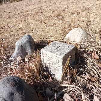 三角点有ります。