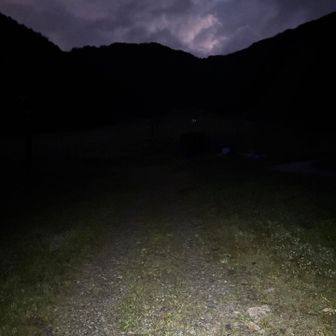 平湯温泉から少々道路を歩いたのち、スキー場から登山開始。

まだ暗いこともあり、道を見落として通過しそうになった😅
なお、マイナールートにも関わらず、前の方に先行者がお一人いらっしゃった。
（逆にいえば、追い越して以降、誰にも会わなかった）