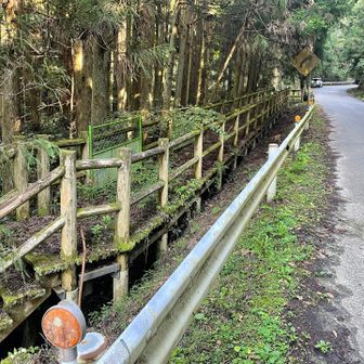 いつまでも修繕されない川辺の遊歩道😭