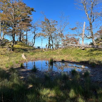 池もあった