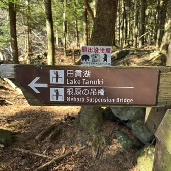 何度も吊り橋の標識が出てくるので、行ってみることに👀