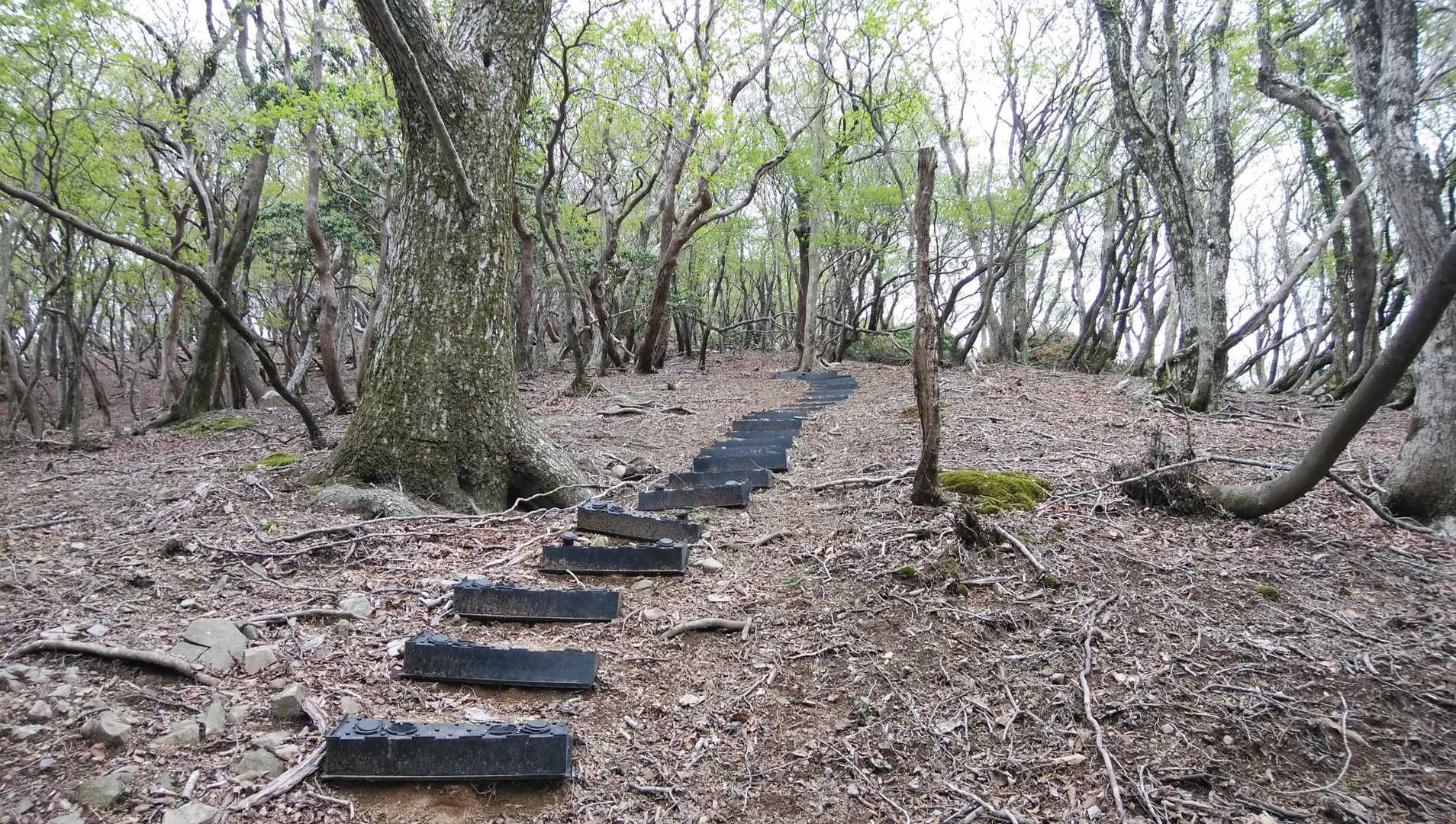 きれい…やけど、しんどいぞ😂