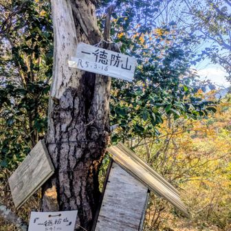 一徳坊山