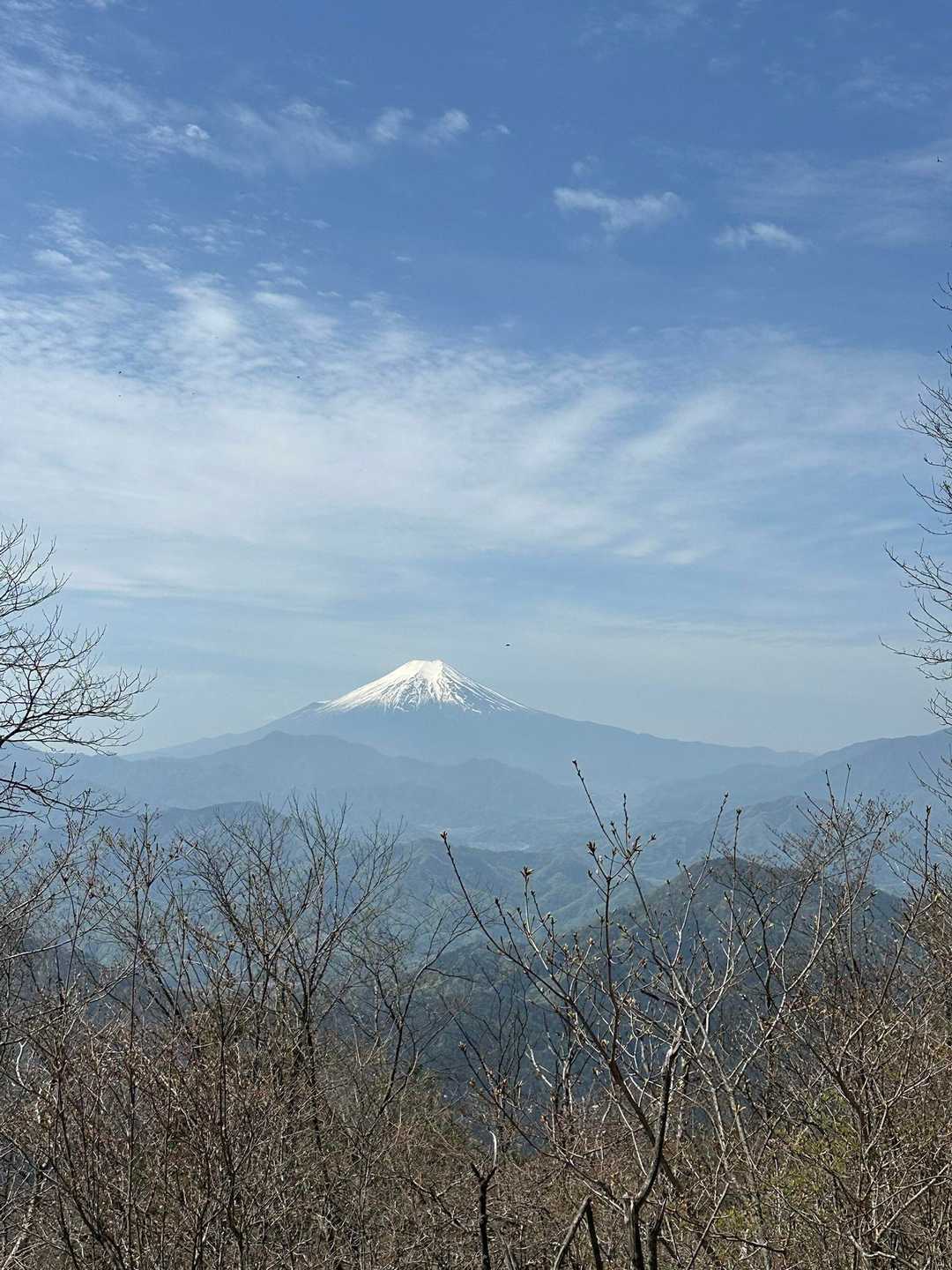 南には富士山〜😍