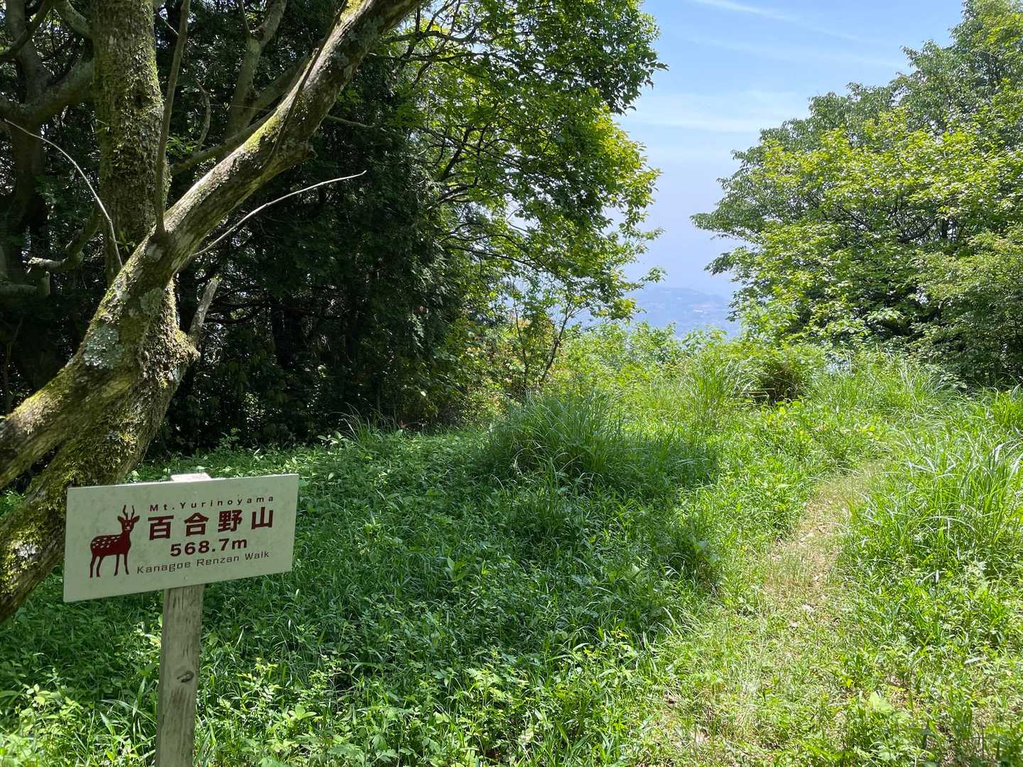 百合野山🏔️今日のラスボス的な扱い😅