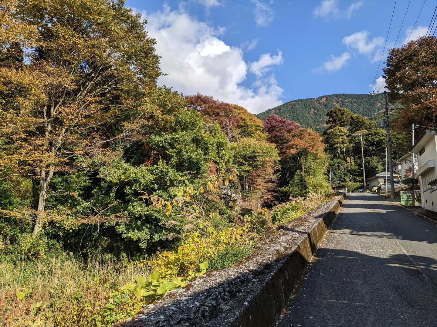 ヤビツ峠行きのバスに間に合わないと思っていたので蓑毛行きのバスに乗るつもりでしたが、ヤビツ峠行きに乗れてしまいました😅

蓑毛で降りるのが虚しかった‪💧‬
バスで行けるところをわざわざ歩くという虚しさよ😹