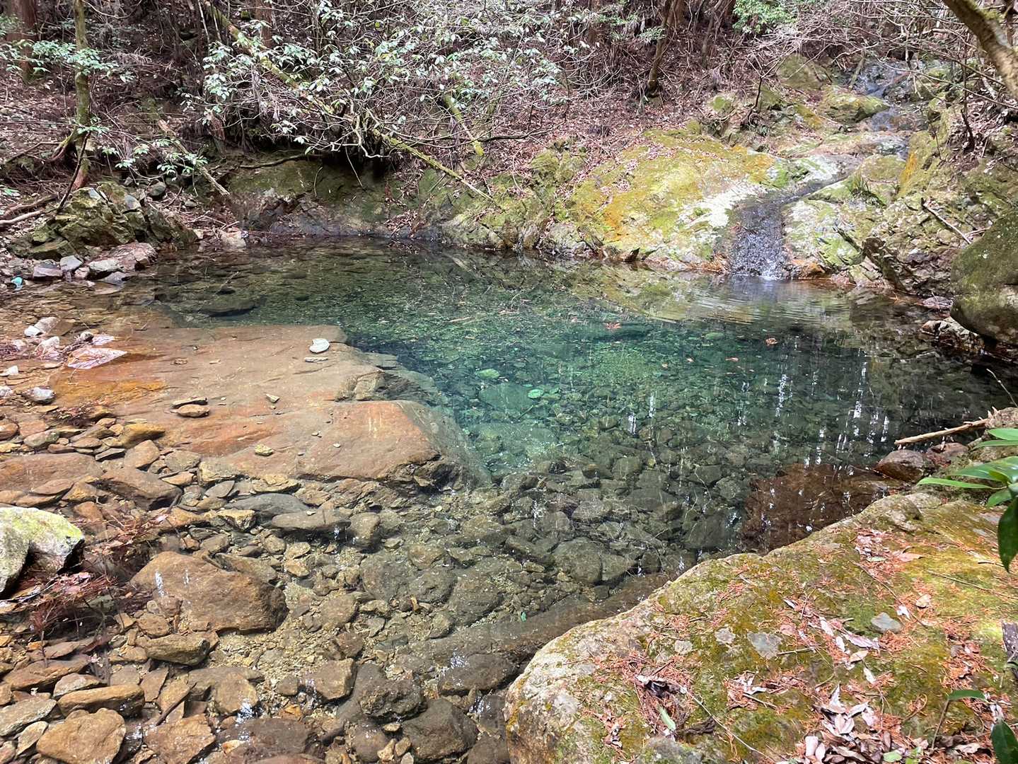 七種山 往復コースの写真