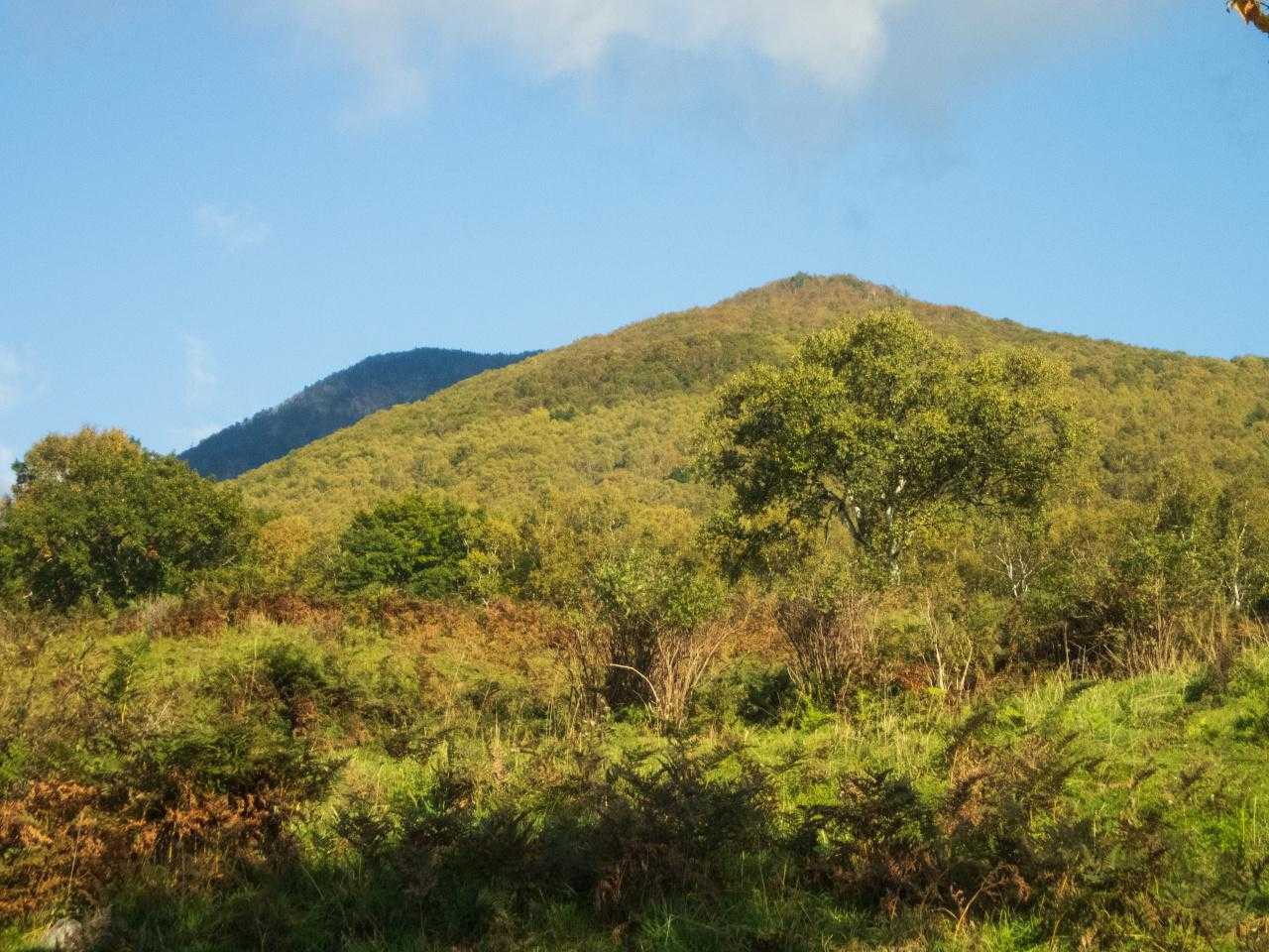 小四阿山
