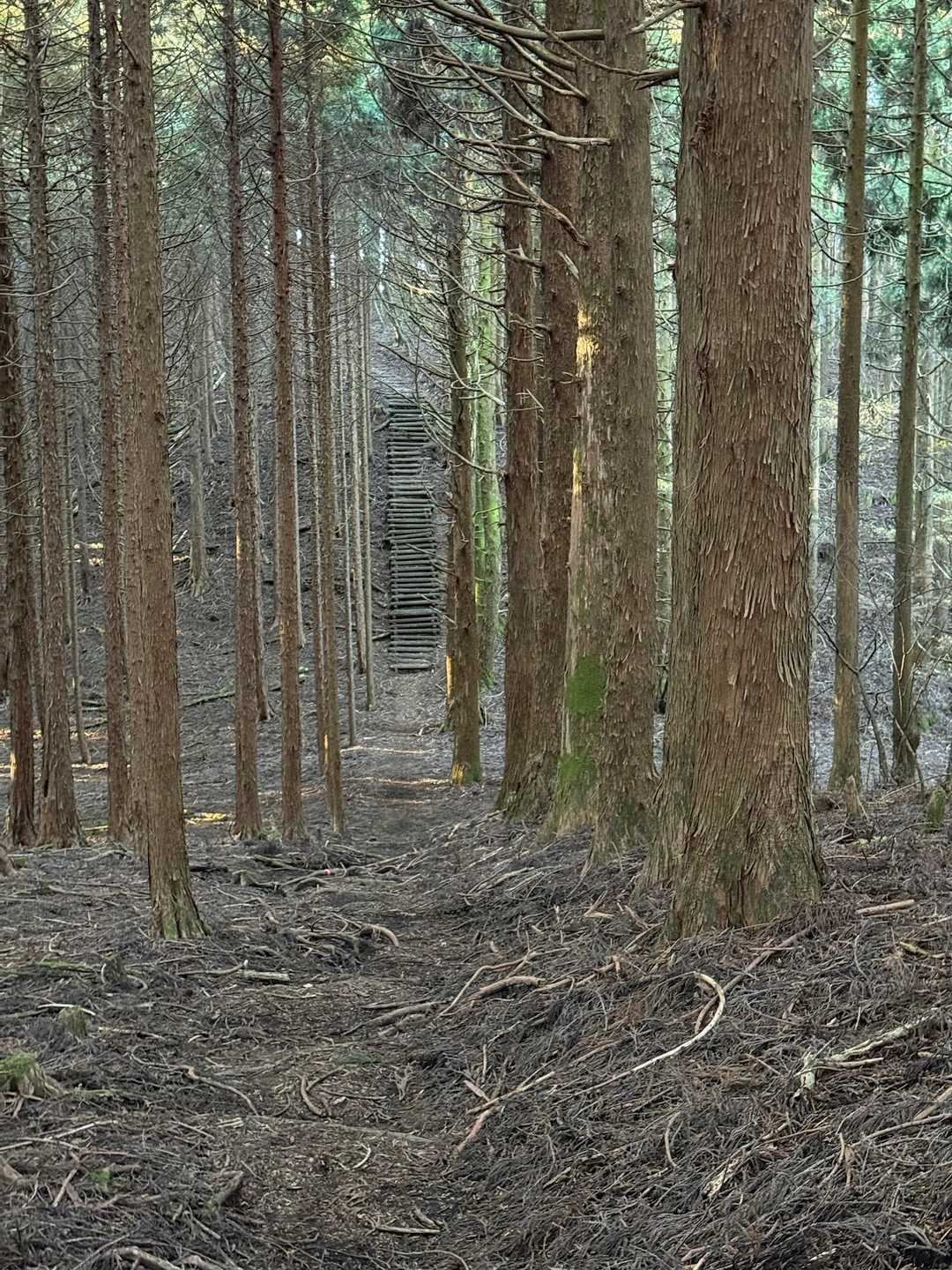 げ😅
階段の壁(*_*)