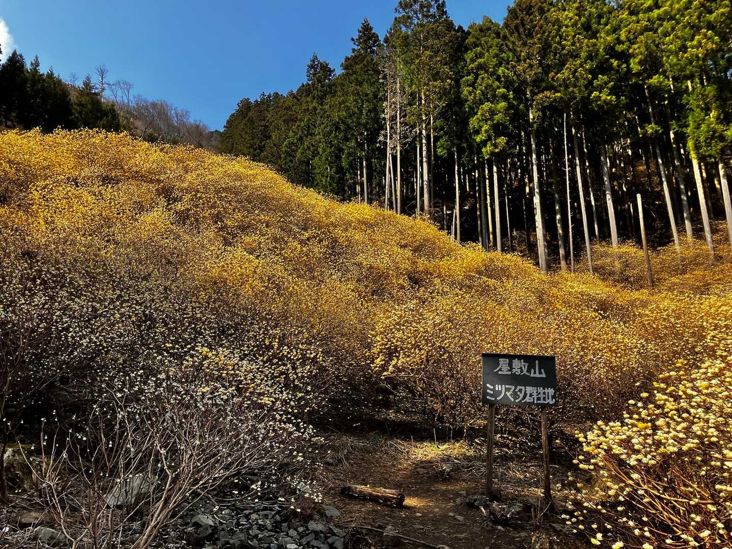 根本山登山口 往復コースの写真