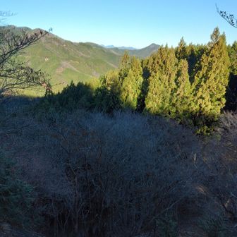 振り返り、景色楽しみながら
男坂から伊豆ｹ岳山頂まではちょっと怖いが、その代わり展望が良いのだ