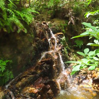 濡れないように 気を付けて