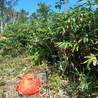 頂上　携帯通じます