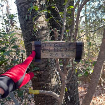 雹留山山頂　ピストンで都道６１号に戻って上川の里へ向かう