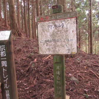 仰木峠 573m