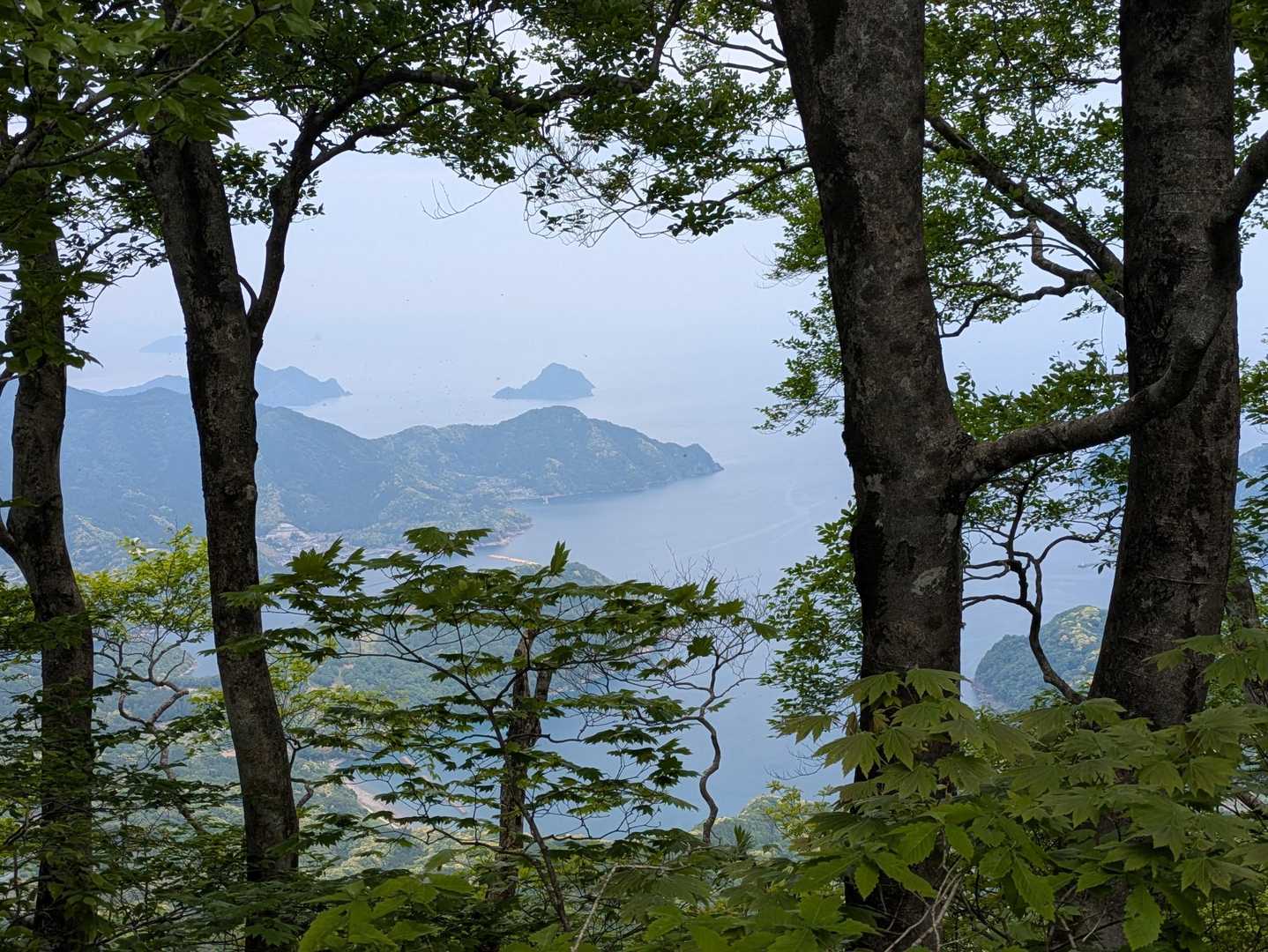 木々の隙間から、海見えて癒されます