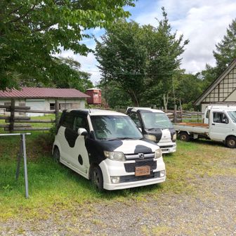 牛柄の車🐄