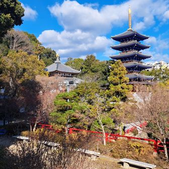 広い境内、立派な堂塔
次々と押し寄せる参拝客
今年の平和を願います🌿