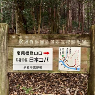 看板の表示が増えてるぞ！

『南尾根ルート』なのね