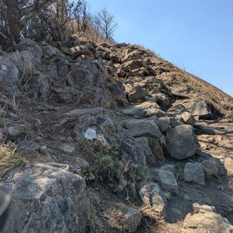 前回行かなかった亀山へ↗