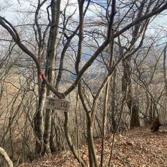 途中で雪降ってきた(河口湖駅に帰り着いたときは結構降っていた)