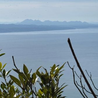 こちらは大江高山火山群です
これ以外は視界なし💦