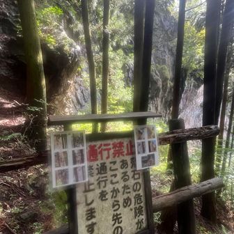 樹林の先に立派な岩壁
そこに観音様じゃない番数のモニュメントがいくつもあるが写真見てもさっぱりわからん😅