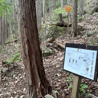 行場めぐりルートを登りました。