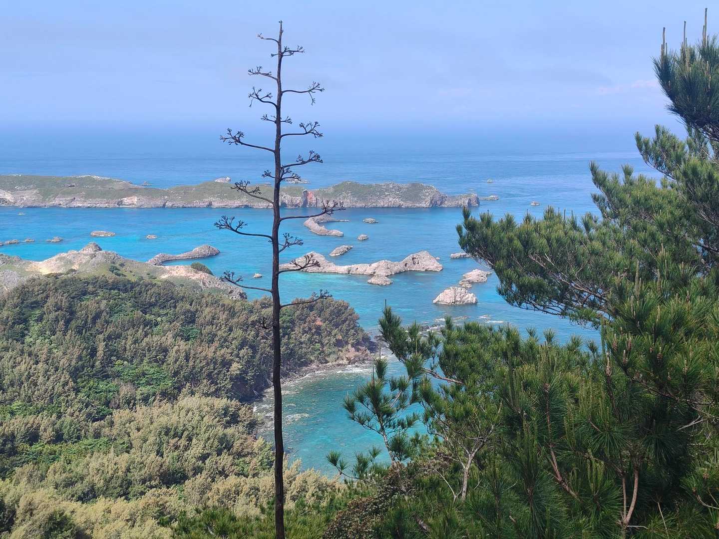 中山峠 往復コースの写真