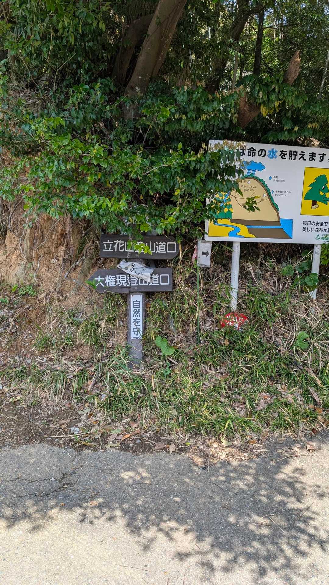 立花山 周回コースの写真