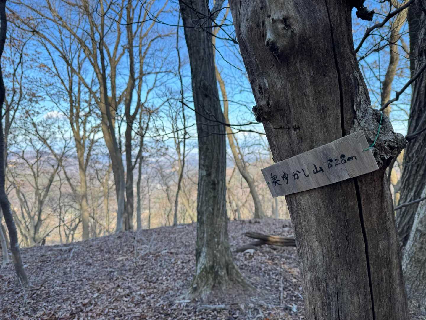 奥ゆかし山山頂⛰️
ピークの情報無し😅