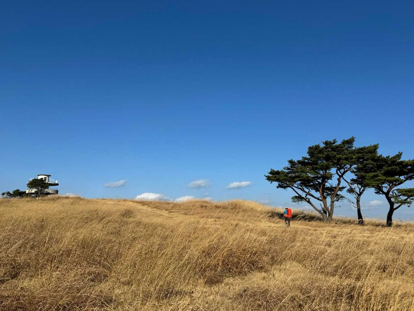 かなさんがアフリカみたいと
絵になる風景だったので
思わずパチリ📷