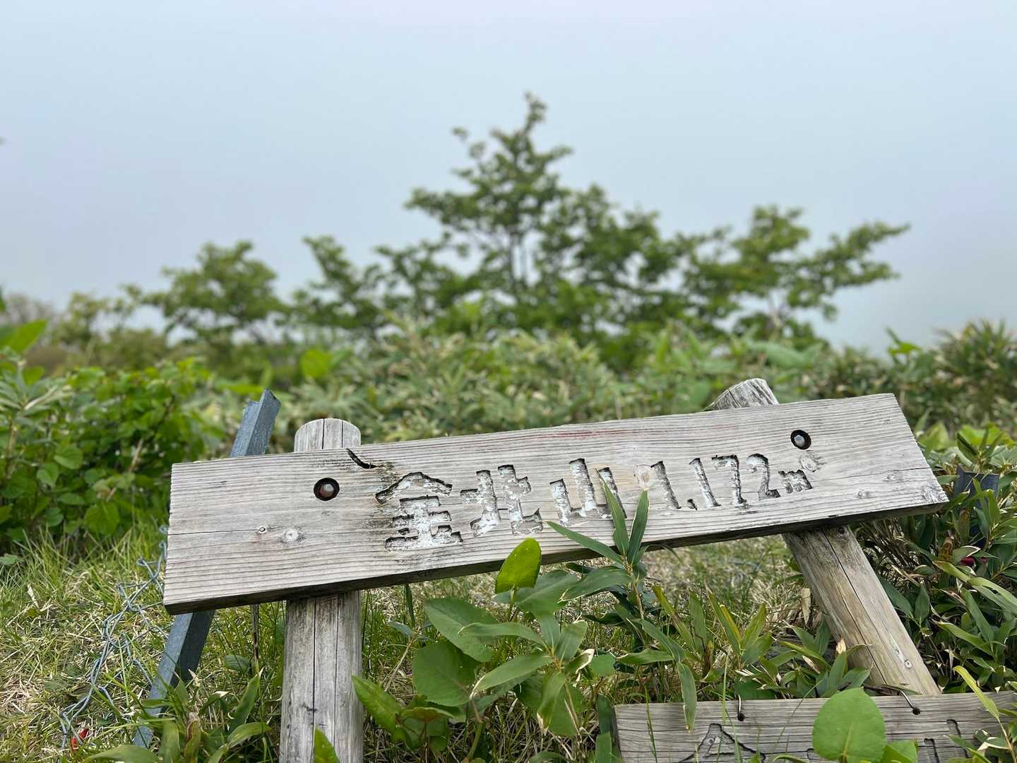 金北山1172m。
ガスガスで何も見えず。

古びた神社と、廃墟化した防衛施設がある山頂。
ここからは、これまでのお花や、豪快な縦走路とは明らかに雰囲気が異なります
