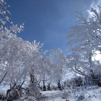 青と白のコントラスト