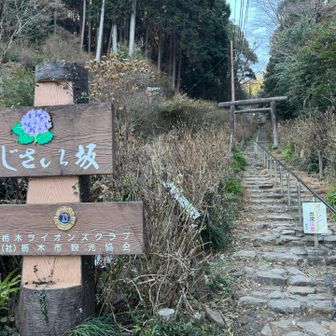 アジサイの時期にまた訪れたい😊