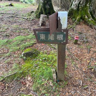 東尾根へ向かいます