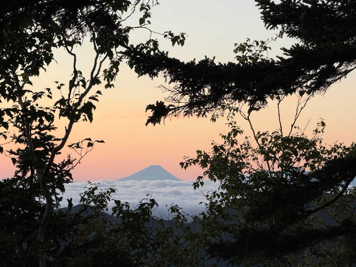 富士見ベンチの少し先
周りの木が額縁になっていい感じ✨