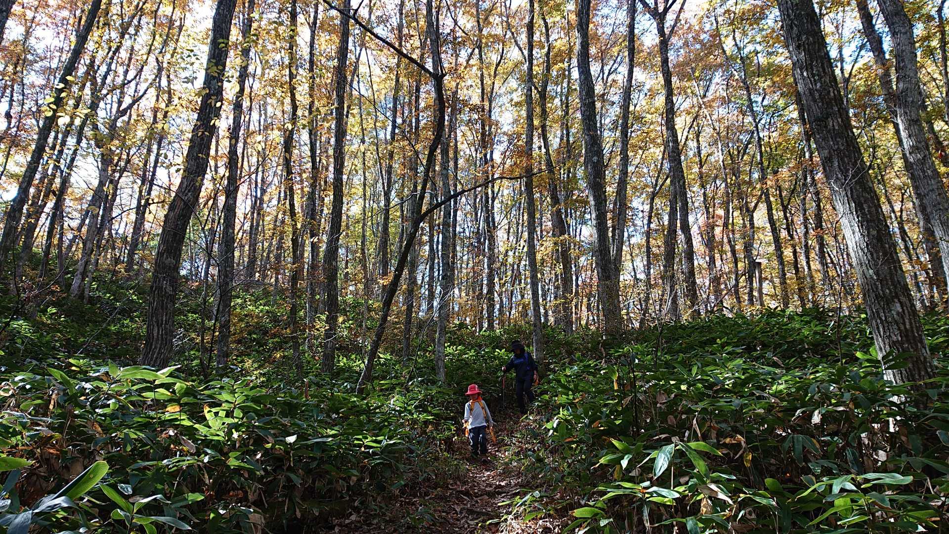 ご夫婦で登って来られる方が多い☝️
二人で歩んできた1日1日が、山での1歩1歩と重なるのではないでしょうか？な～んて😅
人間交差点  高岳🗻