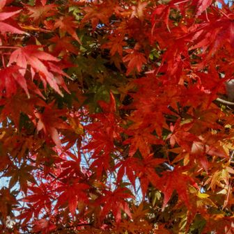 この辺で下山開始