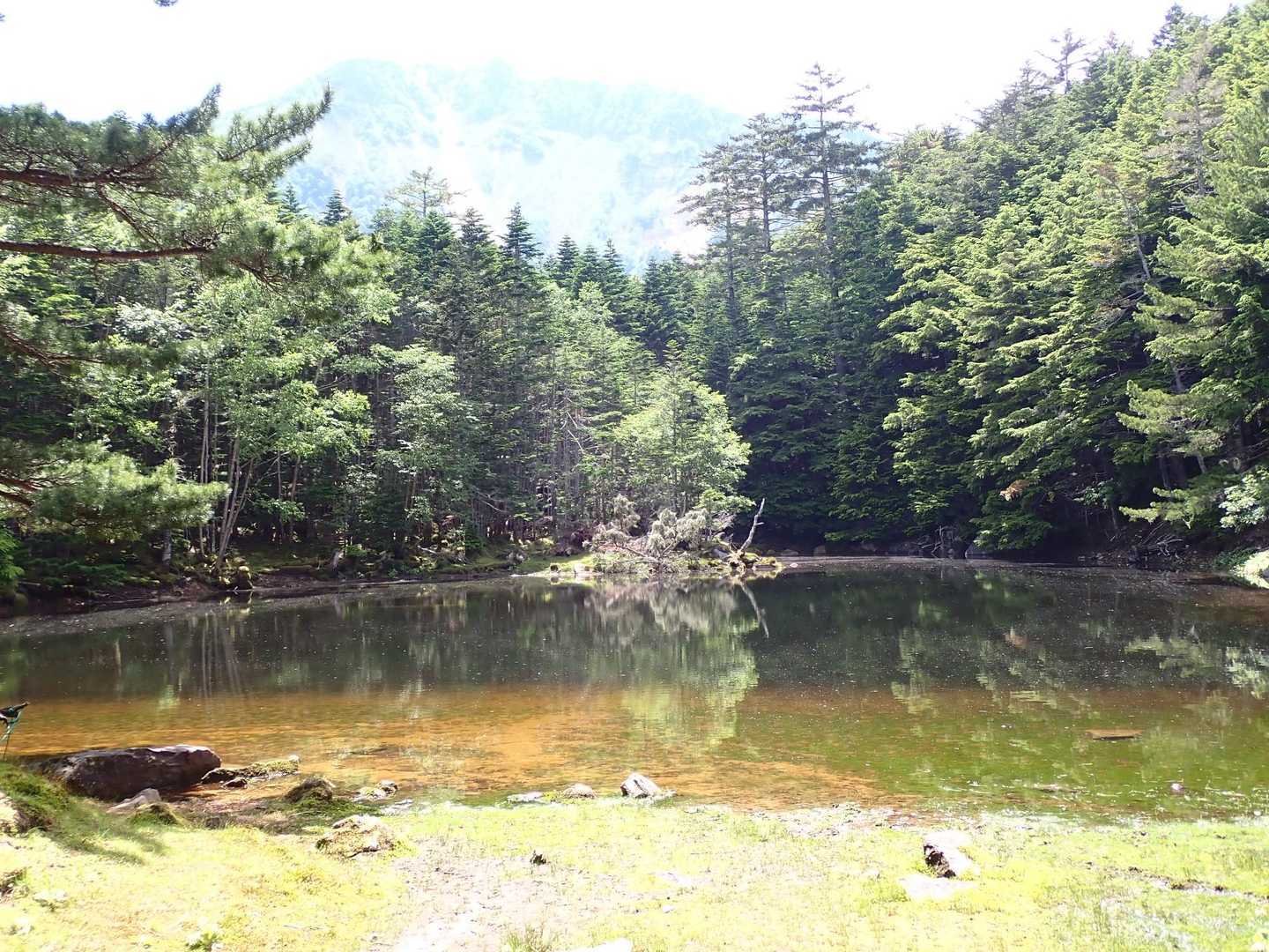 稲子湯唐沢橋登山口-ミドリ池-夏沢峠-箕冠山 往復コースの写真