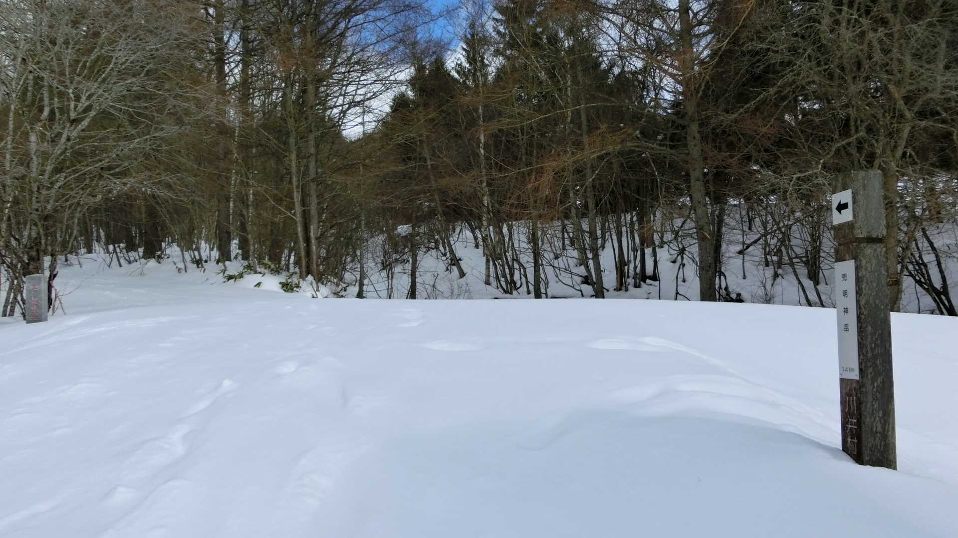 ではここを左側に進んで樹林の中を歩いていきます。この時点ではツボ足です。かんじきのあゆむくんも万が一用で持参してます