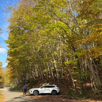 お疲れ様でした。中々登りごたえのある良き山でした。