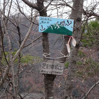山川浅間山
雨が降ってきたので本日はここまで☔️