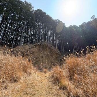 一年前の逆回りで山頂へ行ってみた。
前も思ったけど、
この登山口は殺伐としてるよねぇ😅