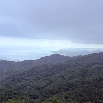 晴れてたら綺麗だっただろうね。