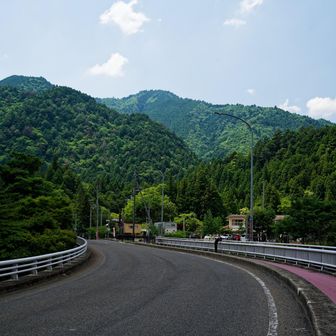 下山後、日本コバが見えました。